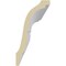 Ekena Millwork 6"H x 3 1/8"P x 6 5/8"F x 94 1/2"L Egg & Dart Crown Moulding MLD06X03X07EG - alternate 5